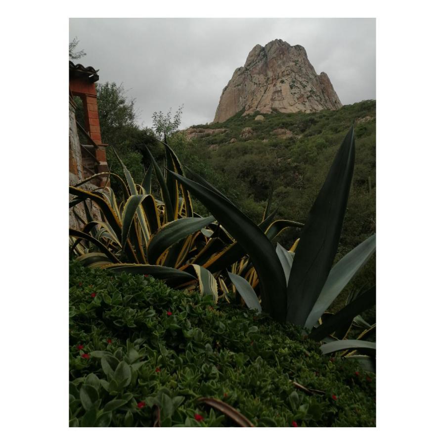 Hotel Casa Del Arbol Bernal Exterior photo
