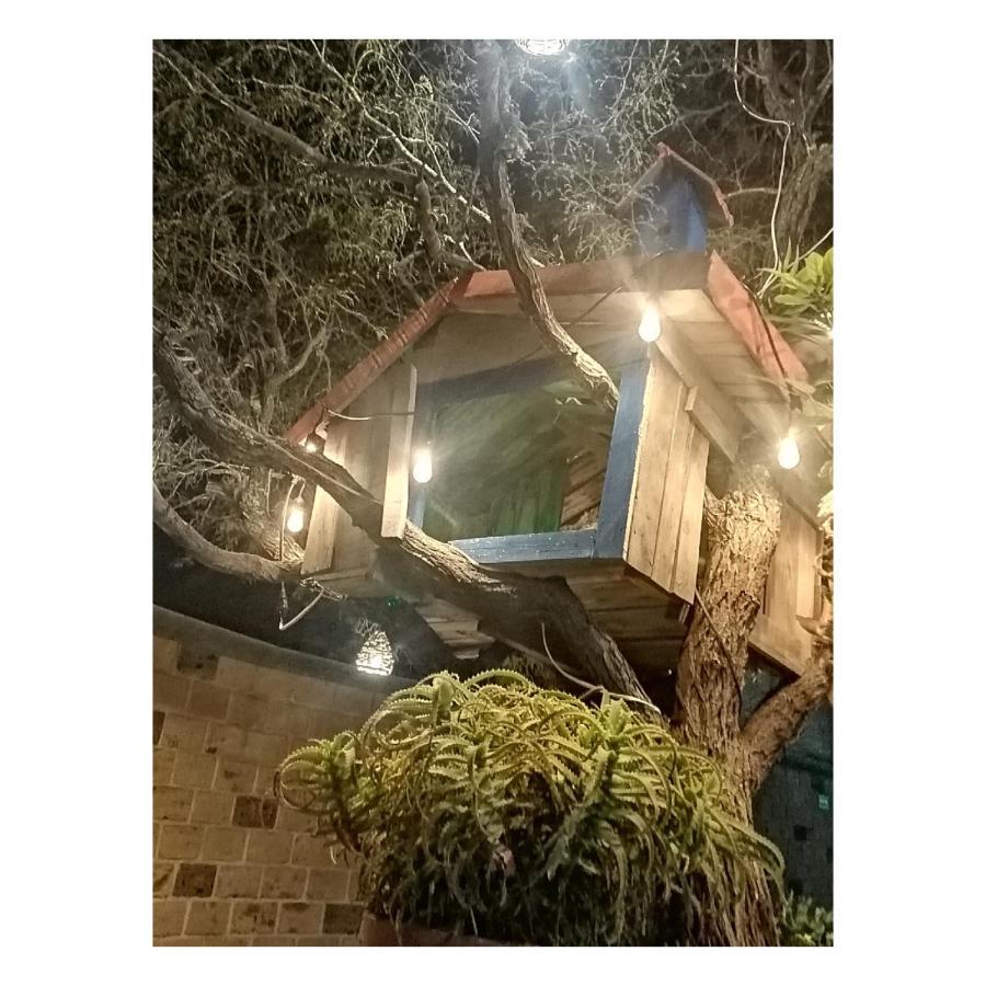 Hotel Casa Del Arbol Bernal Exterior photo